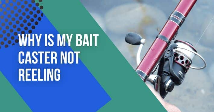 Why Is My Bait Caster Not Reeling – Causes and 6 Solutions