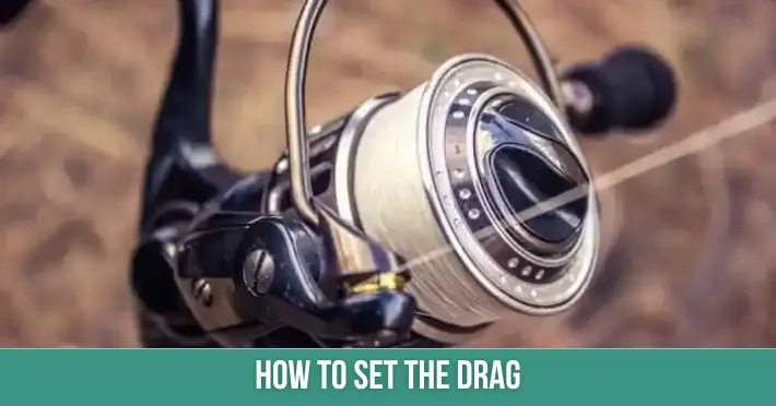 How to Set the Drag