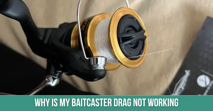 Why Is My Baitcaster Drag Not Working?