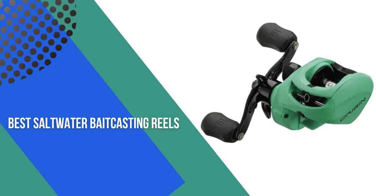 Top 5 Best Saltwater Baitcasting Reels - Buying Guide