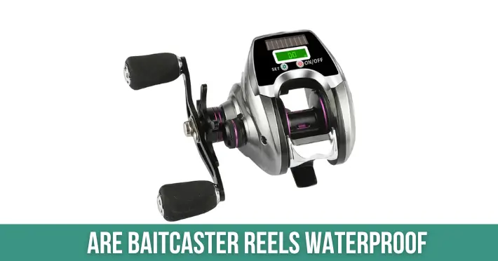 Are Baitcaster Reels Waterproof