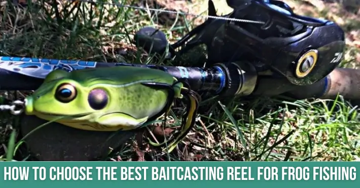 Best Baitcasting Reel for Frog Fishing
