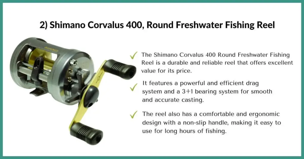 shimano corvalus 400, round freshwater fishing reel