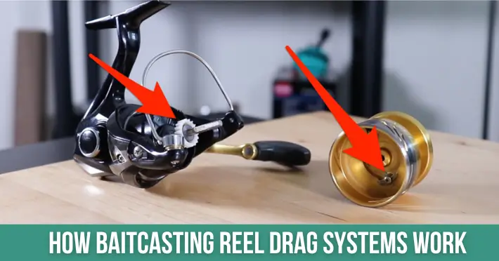 How Baitcasting Reel Drag Systems Work