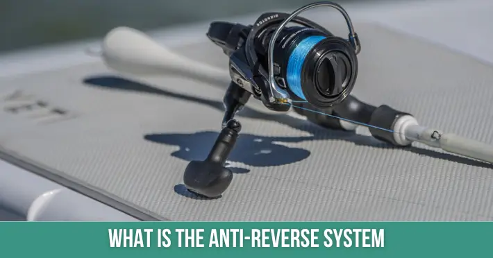 What Is The Anti-Reverse System