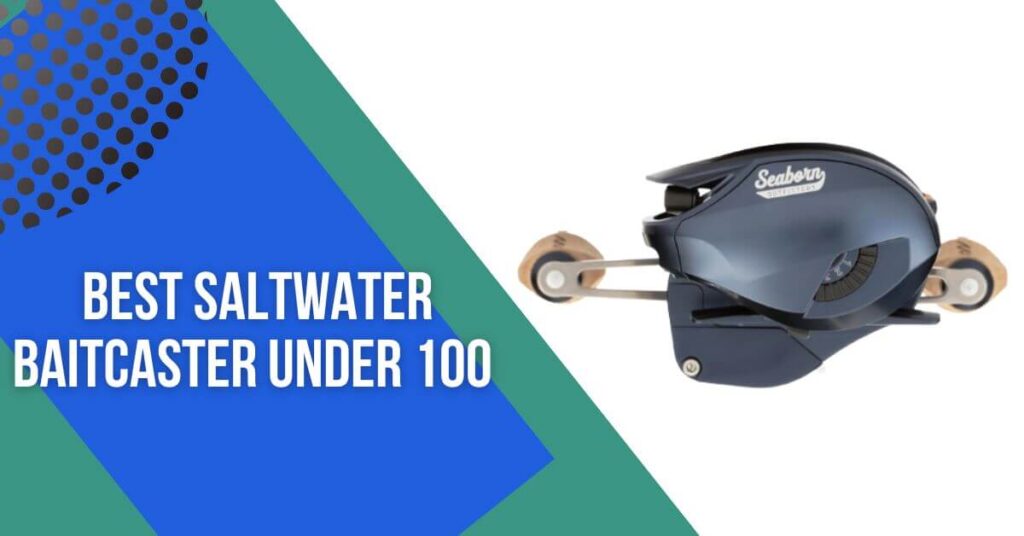 best saltwater baitcaster under 100