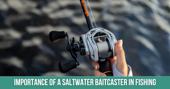 Importance of a Saltwater Baitcaster in Fishing