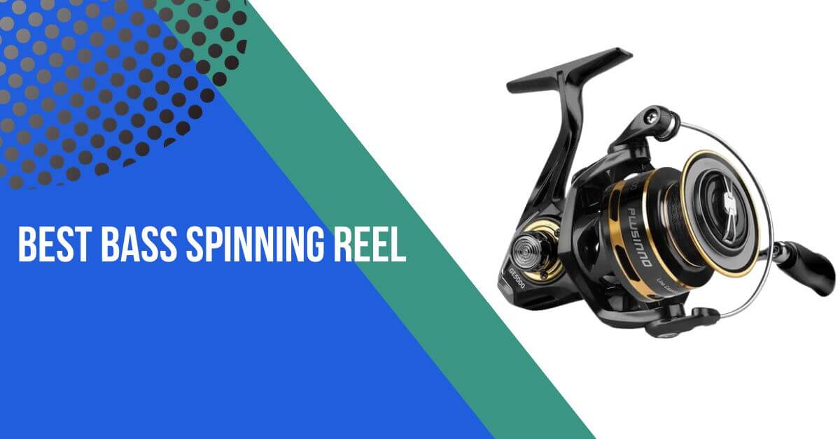 11 Best Bass Spinning Reel: Expert Reviews and Buyer’s Guide