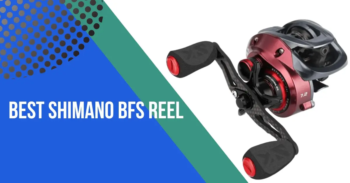 10 Best Shimano BFS Reel Reviews – Expert Recommendations