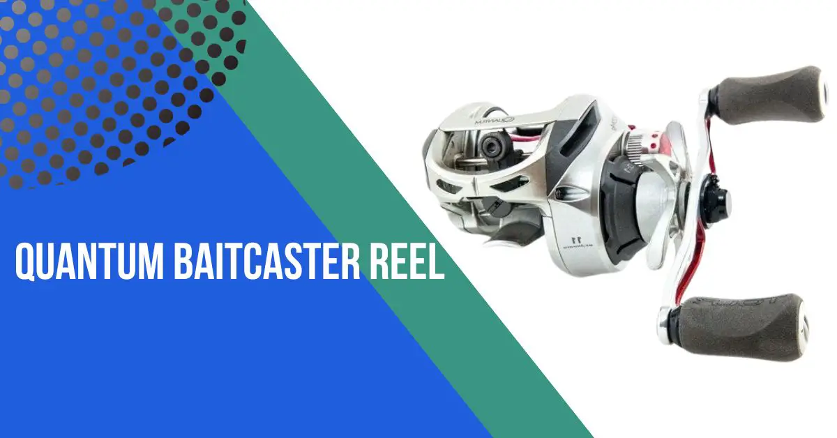 Top 8 Quantum Baitcaster Reel for Discerning Anglers
