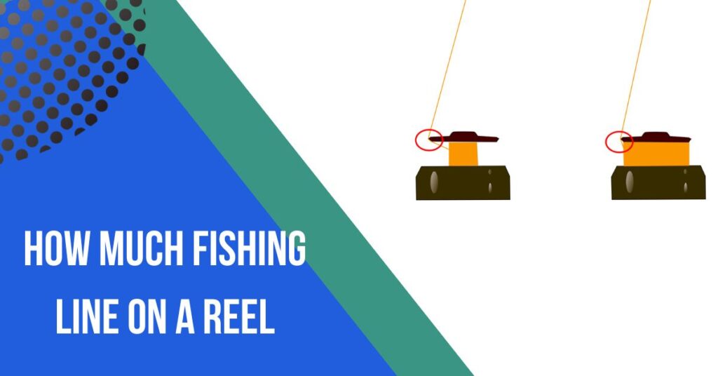 How Much Fishing Line on a Reel