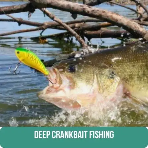 deep crankbait fishing