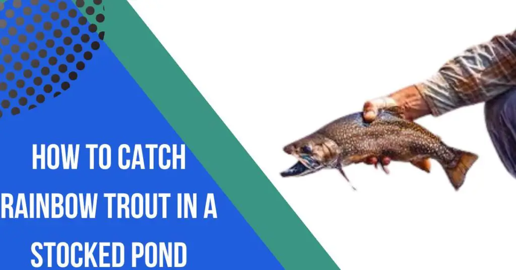 How To Catch Rainbow Trout In A Stocked Pond