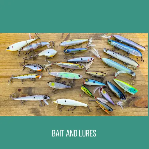 Bait and Lures