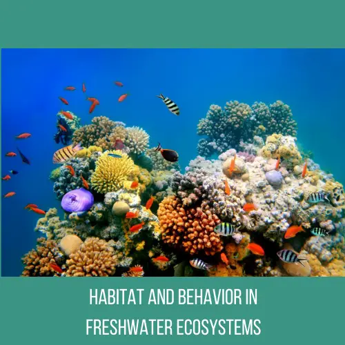 Habitat And Behavior In Freshwater Ecosystems: