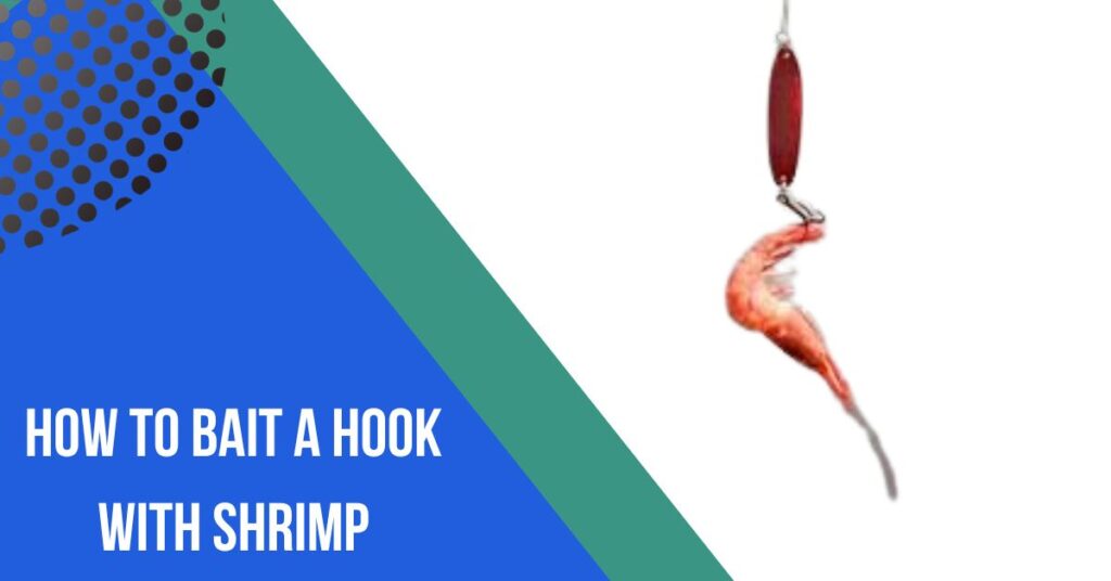 How To Bait A Hook With Shrimp
