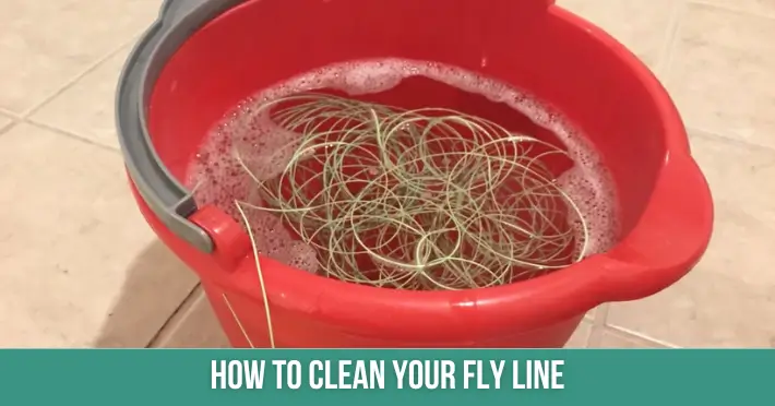 How To Clean Your Fly Line