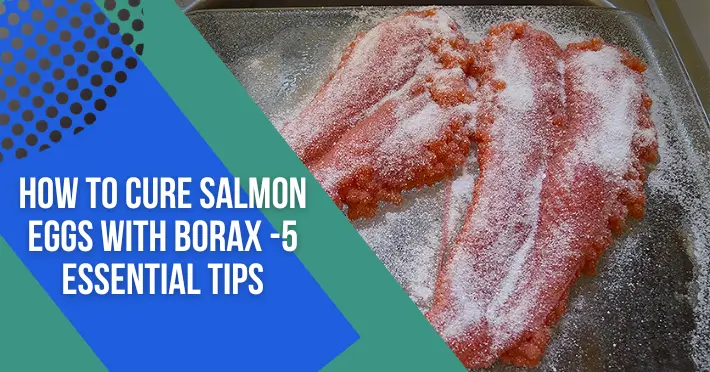 How to Cure Salmon Eggs with Borax -5 Essential tips