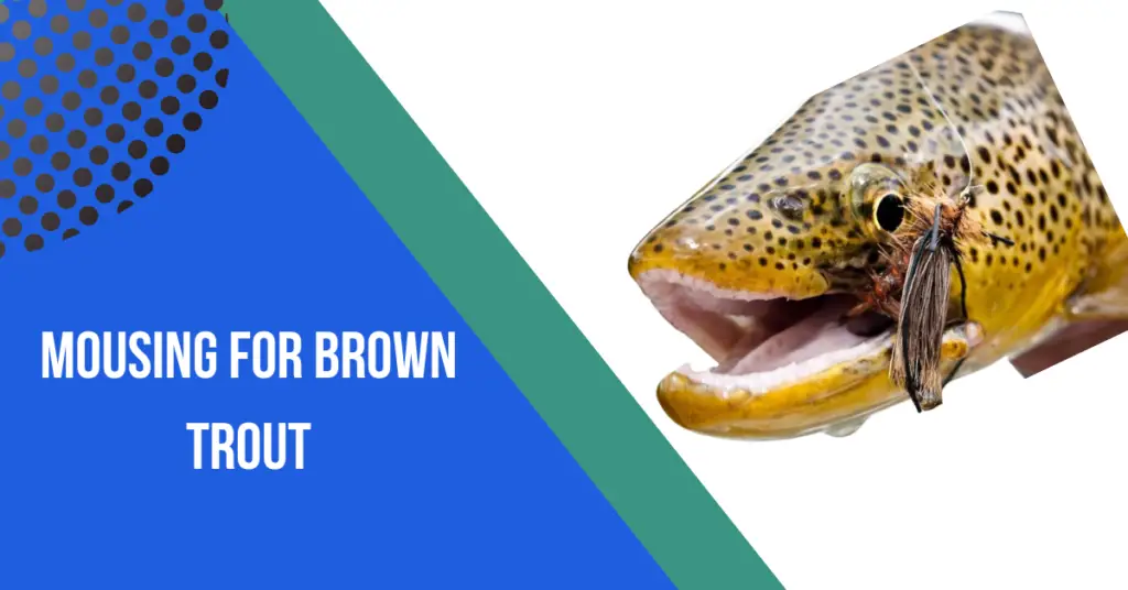 Mousing for Brown Trout