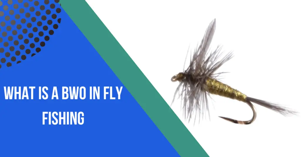 What Is A BWO in Fly Fishing