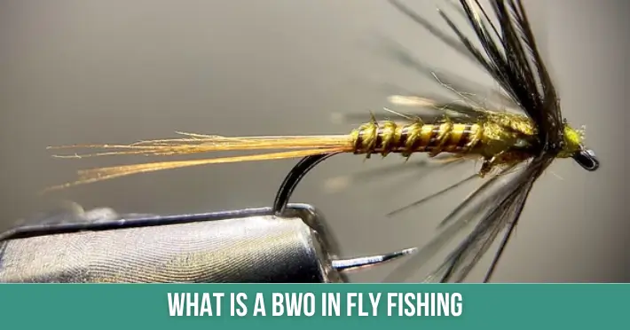 What Is A Bwo In Fly Fishing