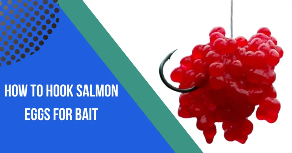 how to hook salmon eggs for bait